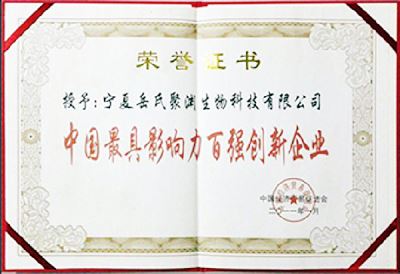 中國最具影響力百強創新企業