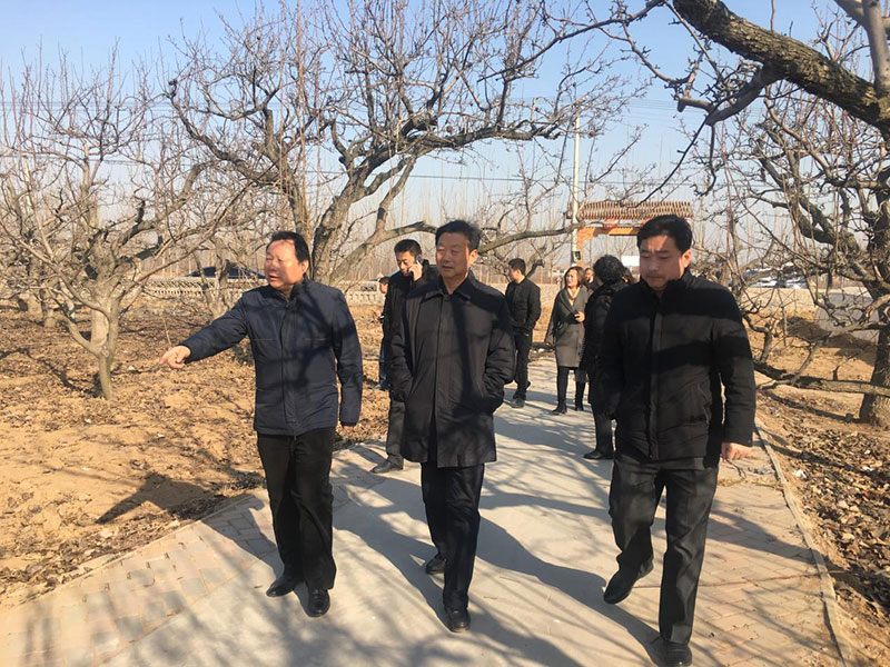 岳氏集團到河北魏縣農業項目進行考察