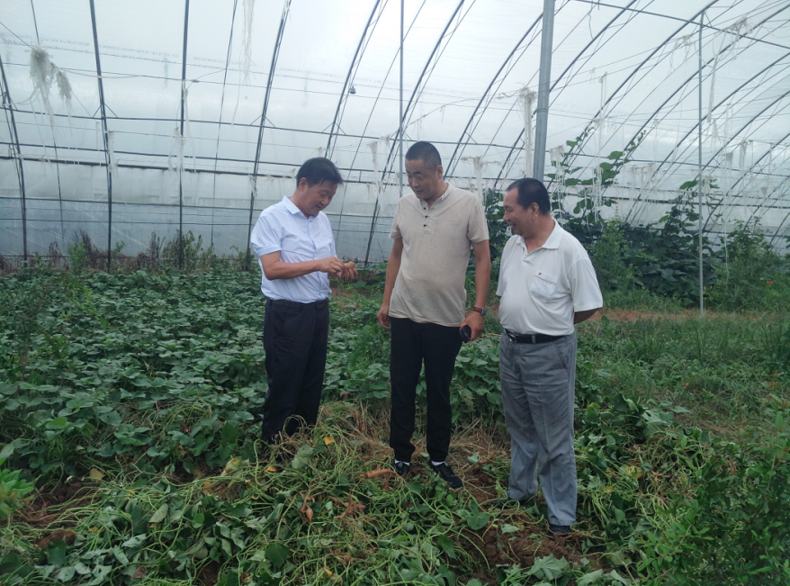 岳氏集團董事長岳平安赴博浩高效農業示范基地